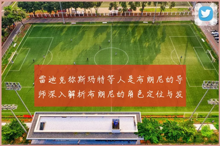 雷迪克称斯玛特等人是布朗尼的导师深入解析布朗尼的角色定位与发展方向