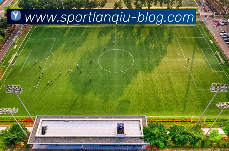 海登海姆计划与拜仁谈判以留住小伊布实现长期合作